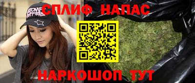 jwh Кингисепп