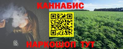 сатива Кинель