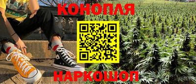 jwh Кингисепп