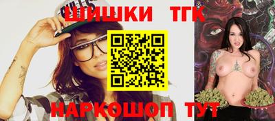 jwh Кингисепп