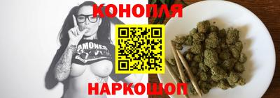 гидра Кимры