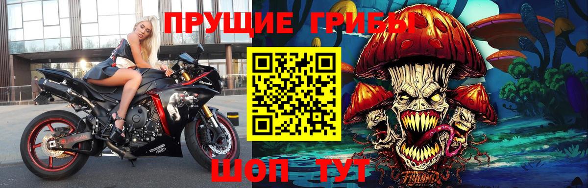 Псилоцибиновые грибы GOLDEN TEACHER Краснокаменск