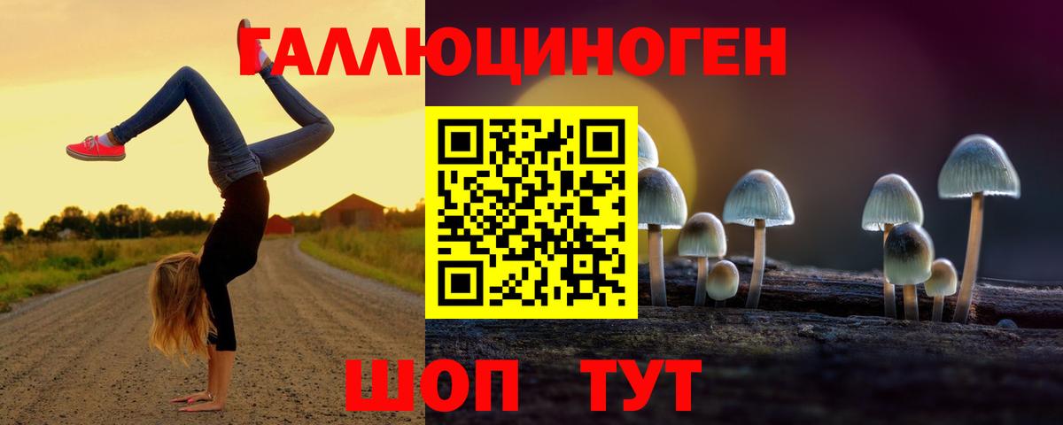 Псилоцибиновые грибы мицелий  Вход с VPN  купить наркоту  Псилоцибиновые грибы мухоморы  Краснокаменск 